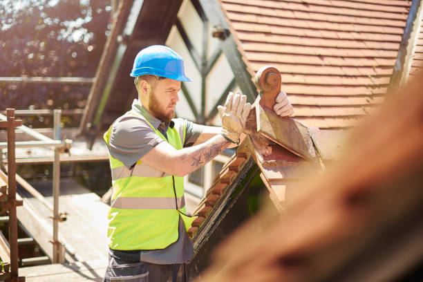 Best Roof Gutter Cleaning  in Waterloo, IA